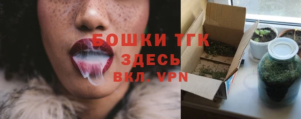 индика Бугульма