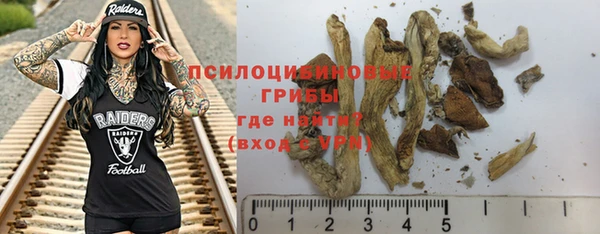 индика Бугульма