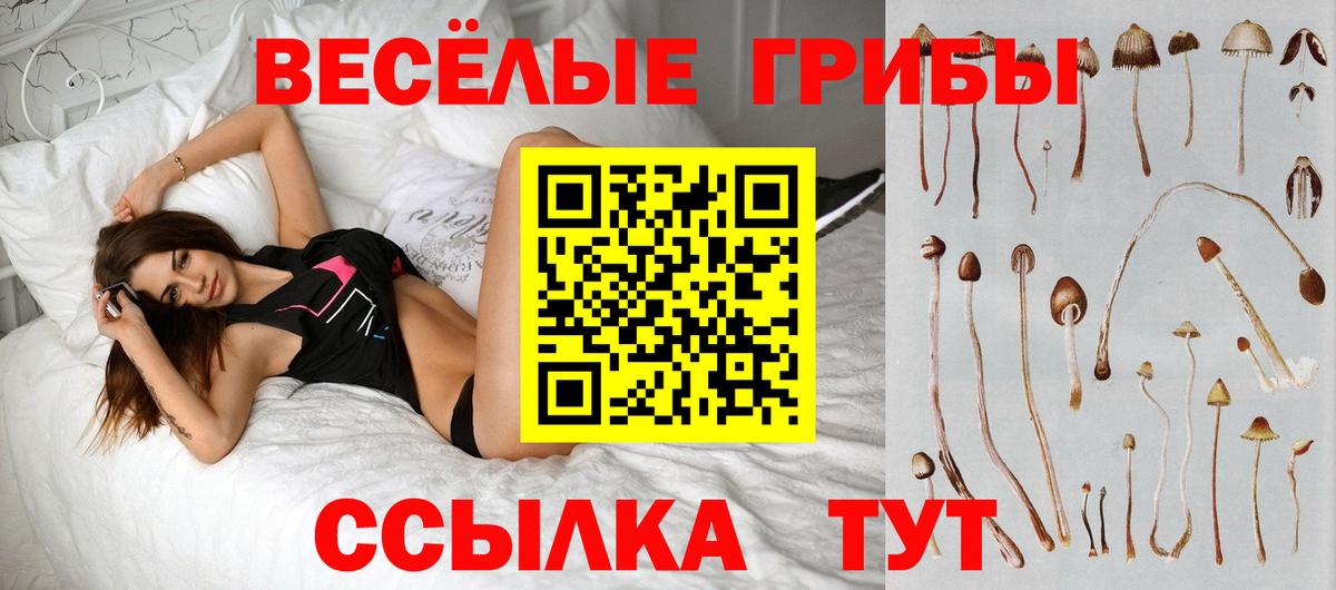 Городец  Псилоцибиновые грибы мицелий  Вход с VPN 